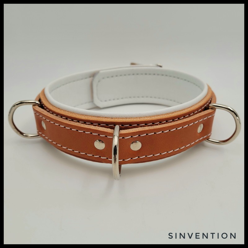 Purgatory Narrow Collar - Asylum Edition