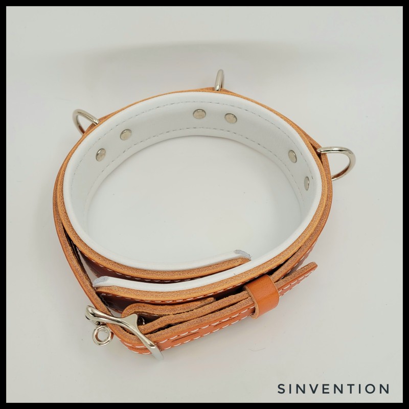 Purgatory Narrow Collar - Asylum Edition