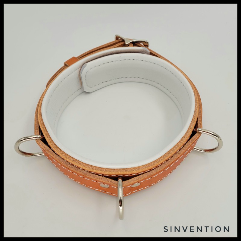 Purgatory Narrow Collar - Asylum Edition