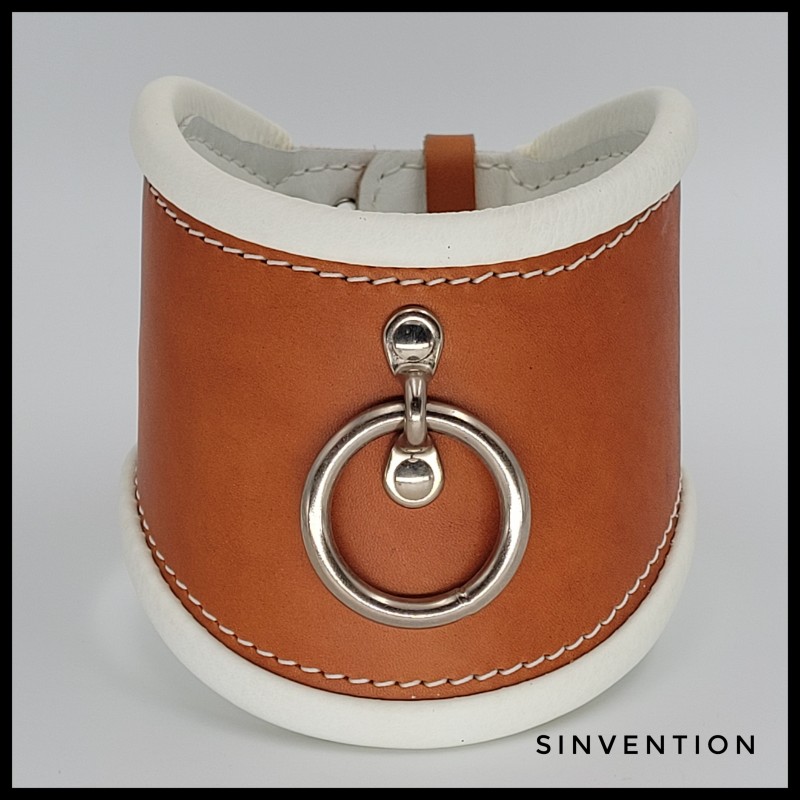 Purgatory Extreme Posture Collar - Asylum Edition