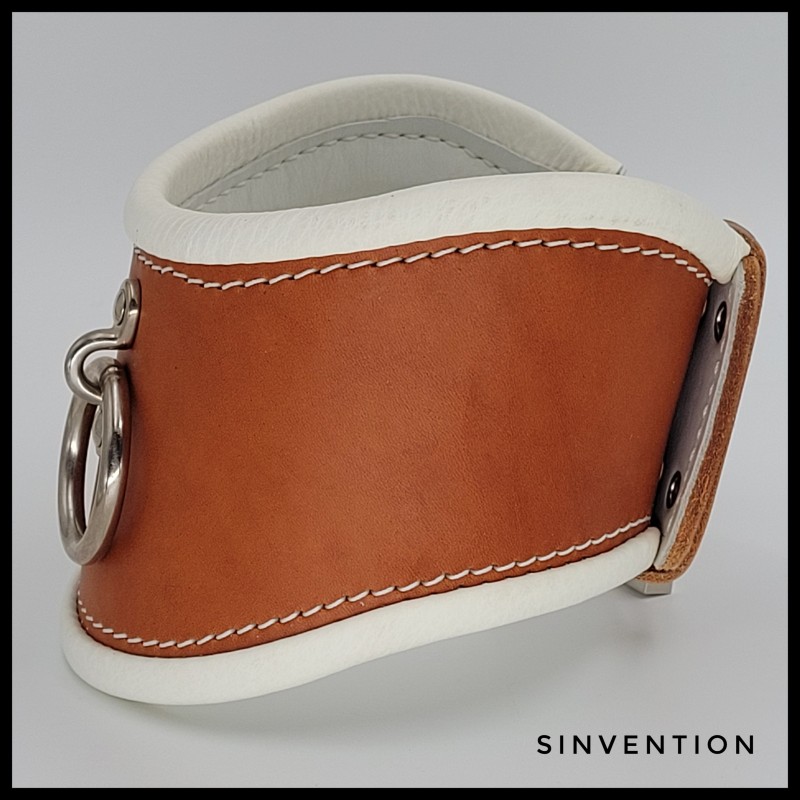 Purgatory Extreme Posture Collar - Asylum Edition