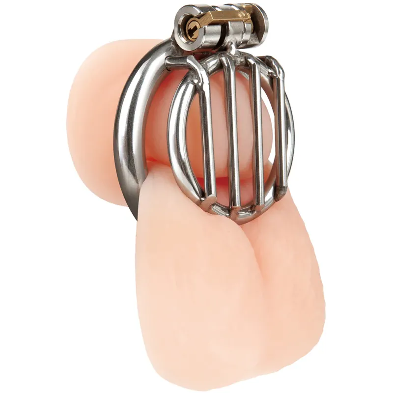 Blueline Stainless Steel Inverted Micro Jail Time Cock Cage