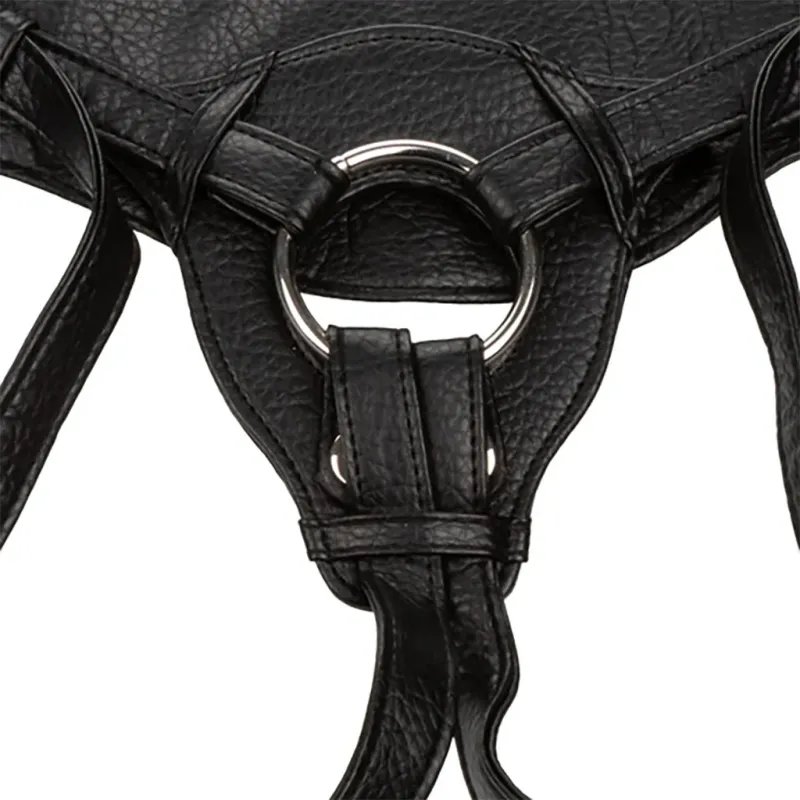 The Queen Her Royal Harness
