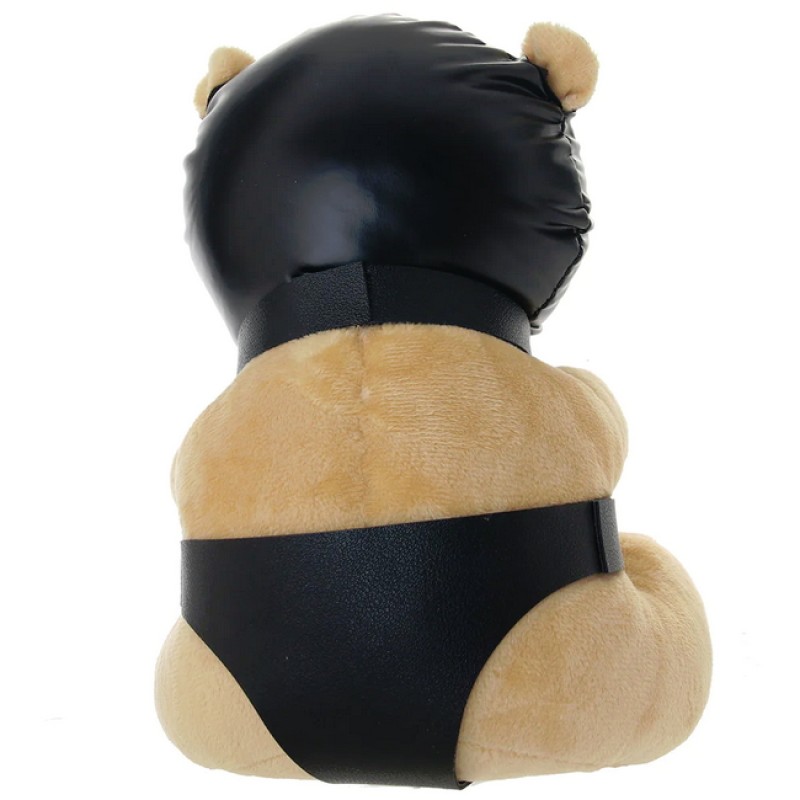 Master Series Hooded Teddy Bear