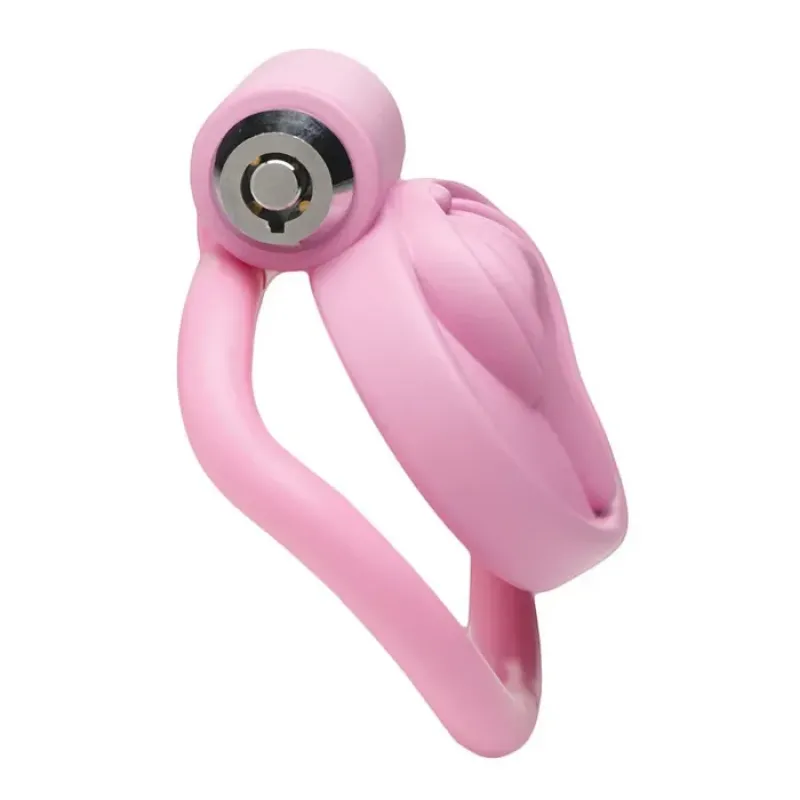 Master Series Pussification Vulva Chastity Cage