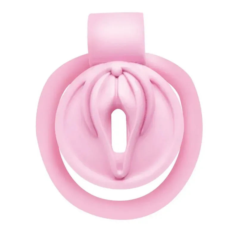 Master Series Pussification Vulva Chastity Cage
