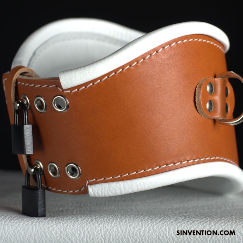Purgatory Extreme Posture Collar / Dees- Asylum Edition