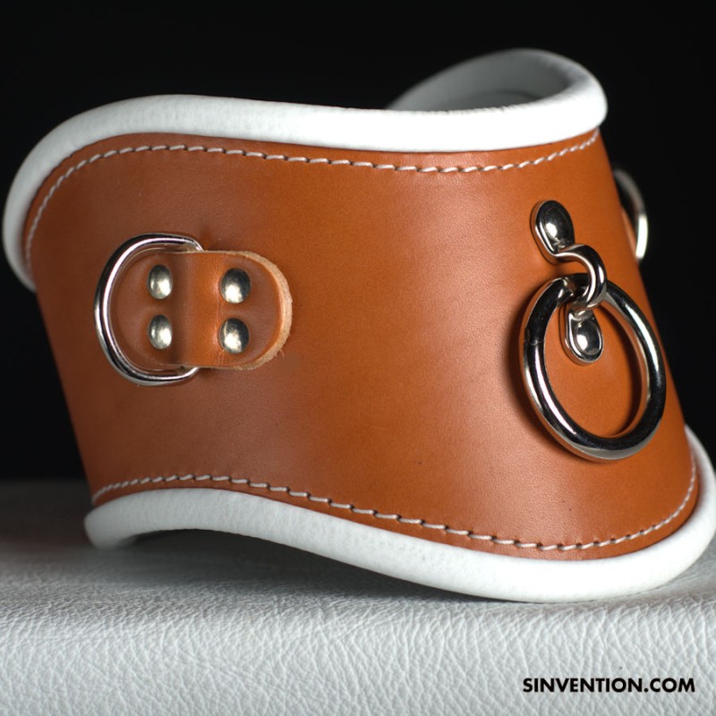 Purgatory Extreme Posture Collar / Dees- Asylum Edition