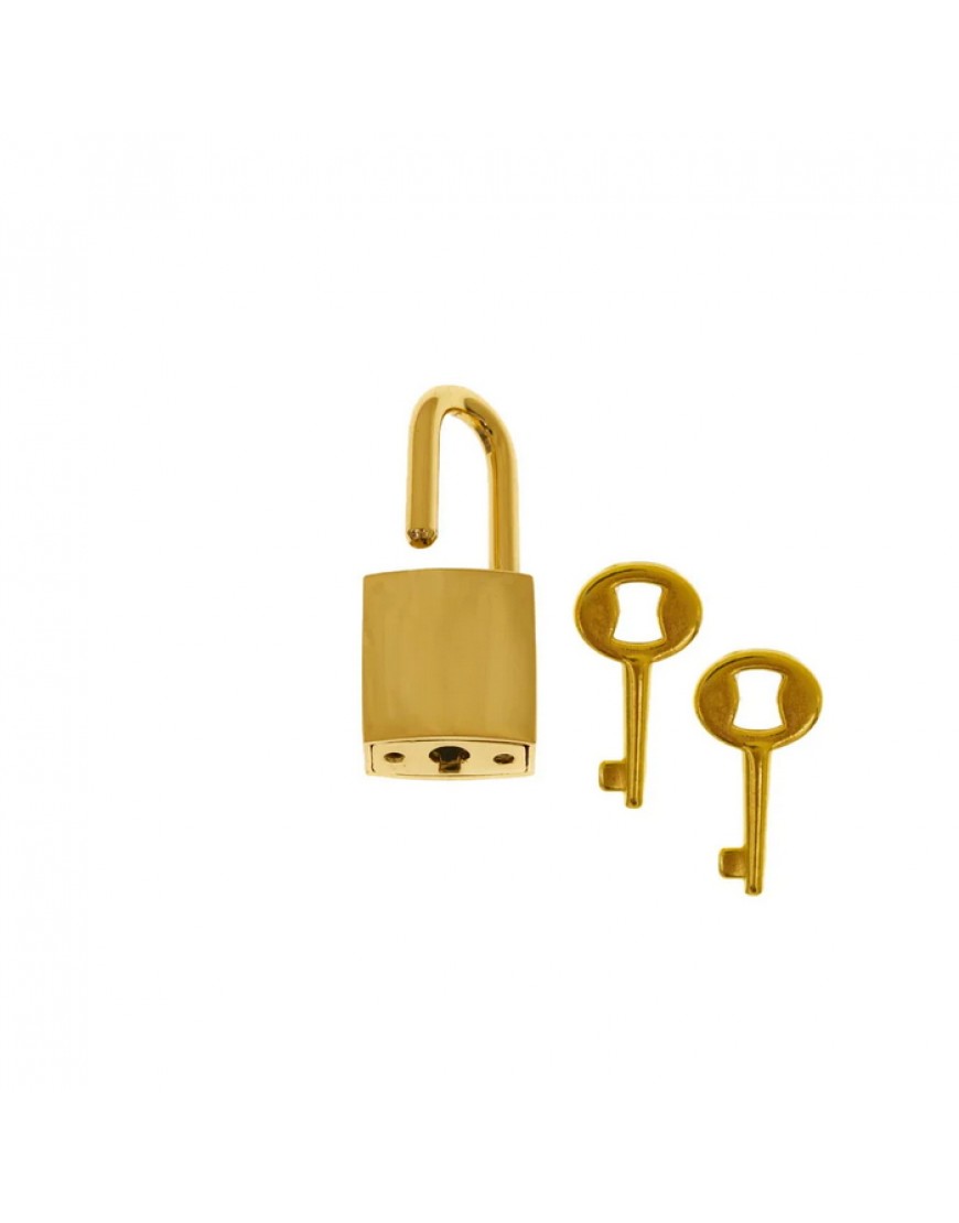 Small Gold Lock