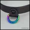 Rainbow Dee Leather Collar