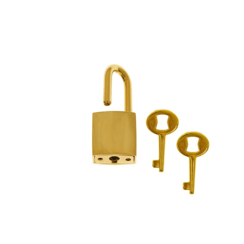 Small Gold Lock